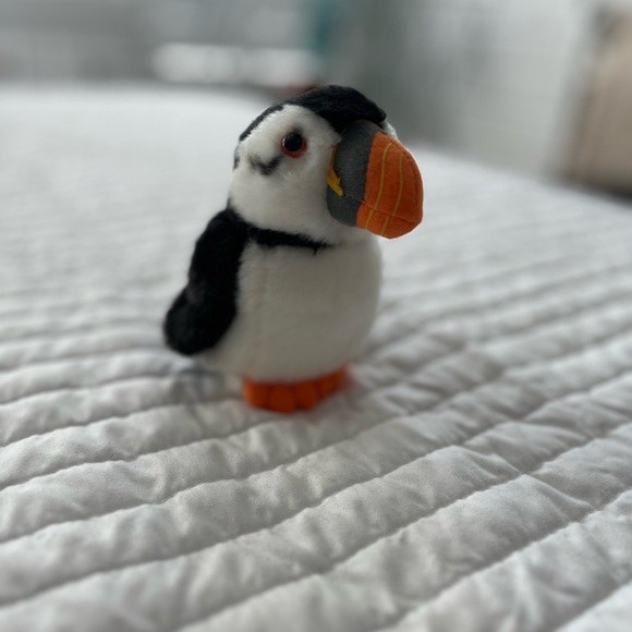 5” Iceland Puffin stuffie - Picture 2 of 2